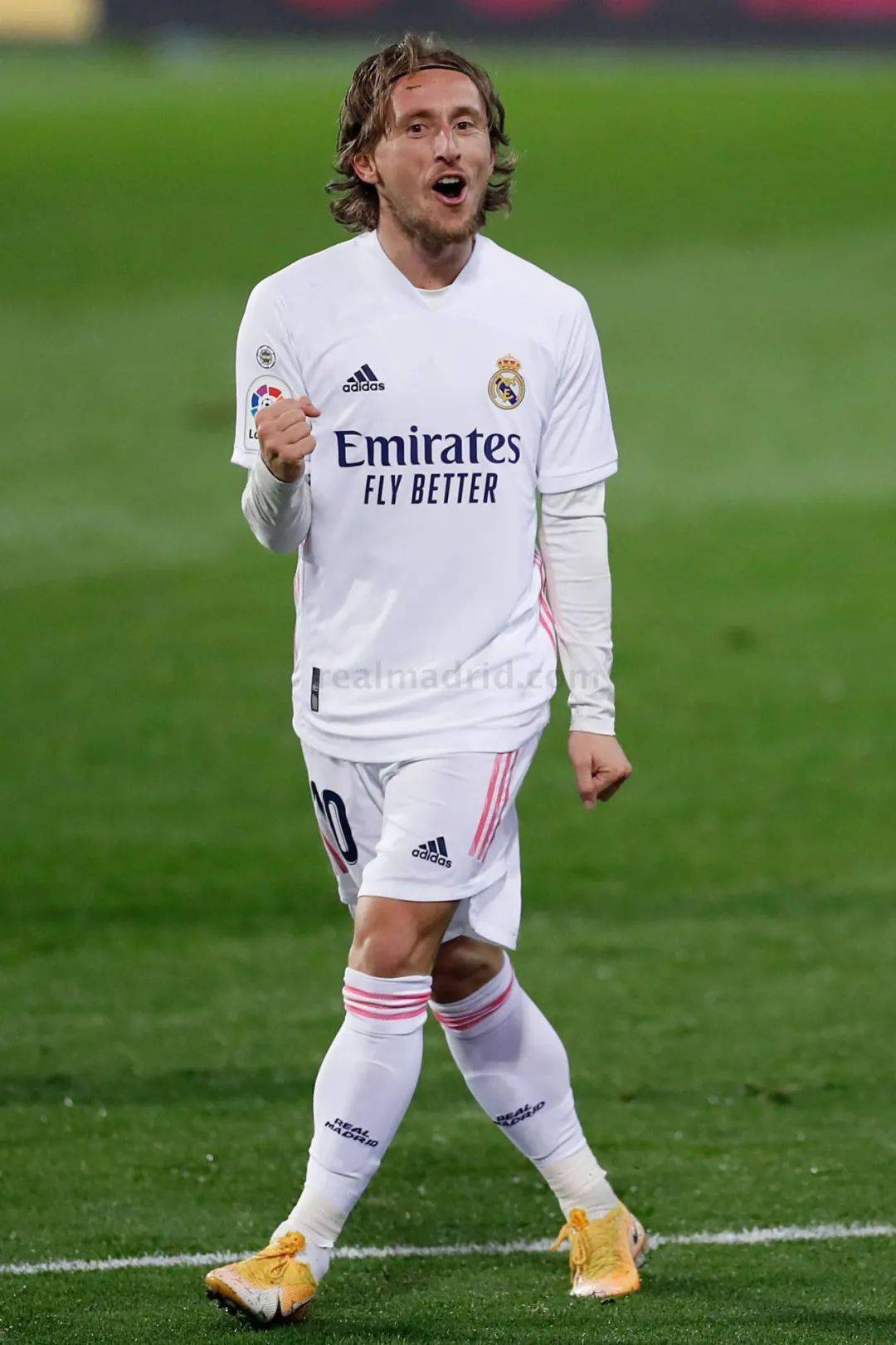 也再次诠释 也再次诠释