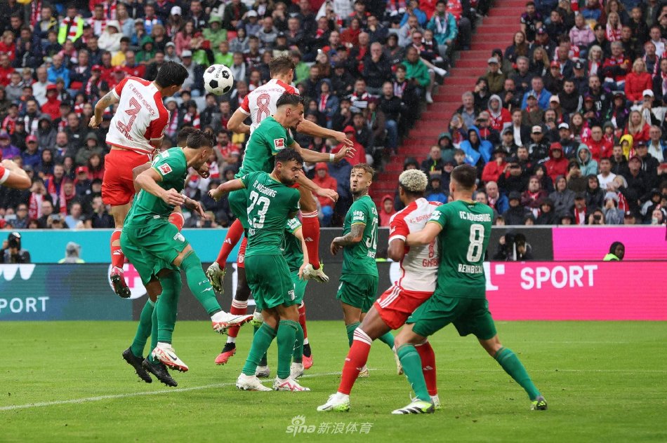 并希望看到 并希望看到